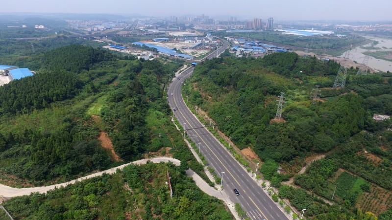 飞云大道改造工程