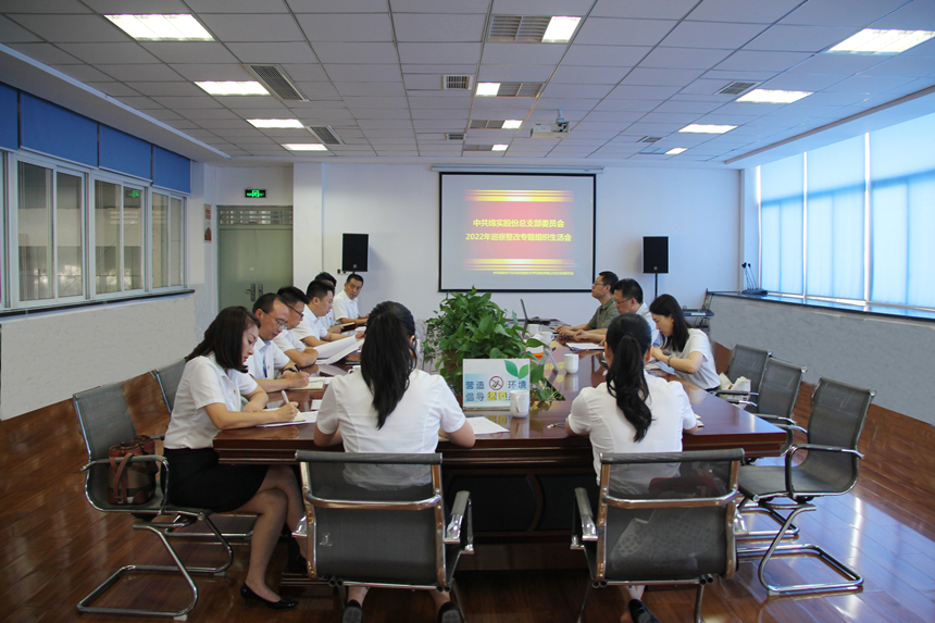 绵实股份党总支召开巡察整改专题组织生活会 绵实股份党总支召开巡察整改专题组织生活会