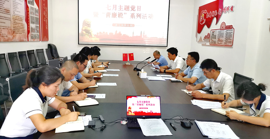 照片1（7月主题党日）