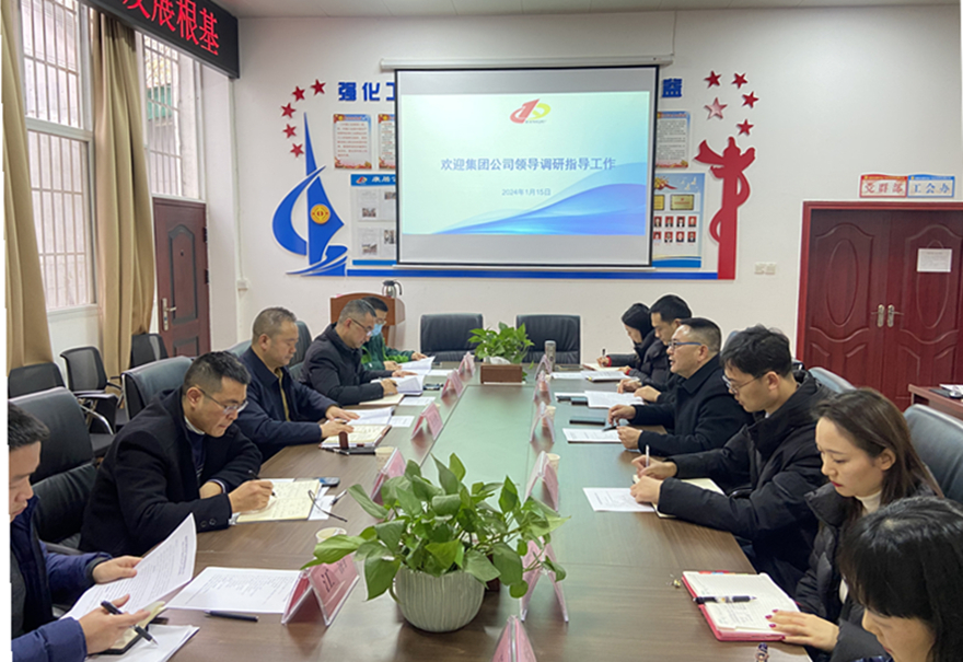 王书记调研康居公司 王书记调研康居公司