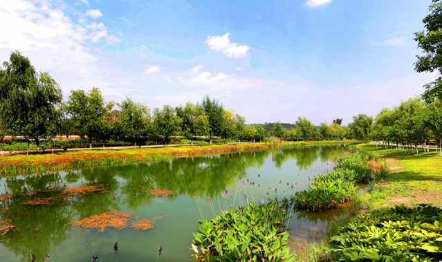 小枧生态湿地公园