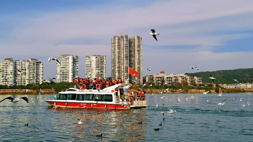 越王楼公司：元旦文旅服务成效显著，跨年活动引发广泛共鸣